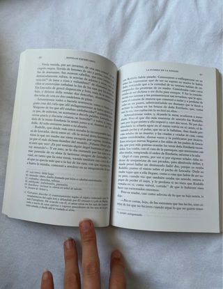 Novelas Ejemplares (Spanish Edition)