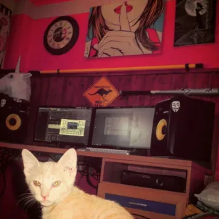 Pareja Altavoces KRK Negros