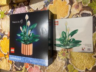Istruzioni e scatola set lego botanicals 11504