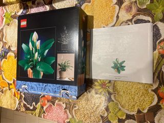 Istruzioni e scatola set lego botanicals 11504
