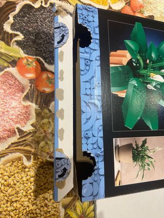 Istruzioni e scatola set lego botanicals 11504