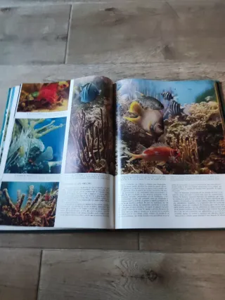 Libro El mundo en que vivimos