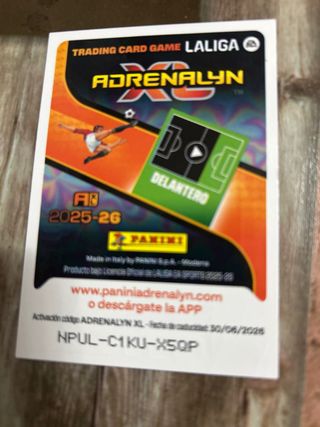 Cromos Adrenalyn XL “Repetidos”