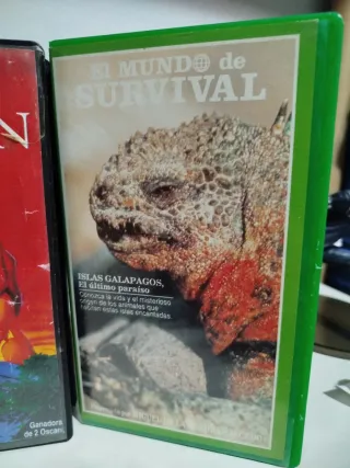 Lote 3 Casetes VHS Clásicos Disney