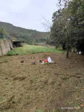 Quieres mantener tu parcela o terreno limpio