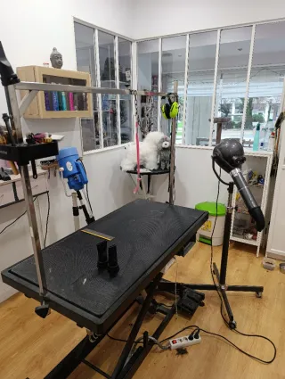 Traspaso peluquería canina