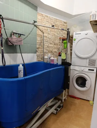 Traspaso peluquería canina