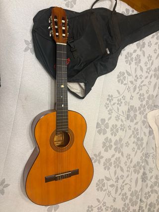 Funda para guitarra Summer y guitarra admira