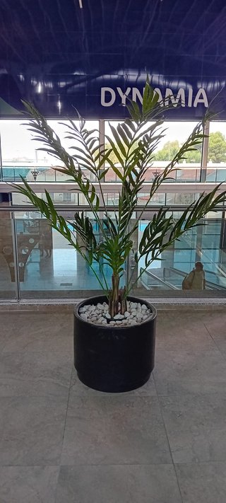 Jardines verticales