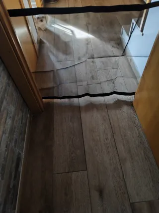 Nuova barriera di sicurezza per animali domestici