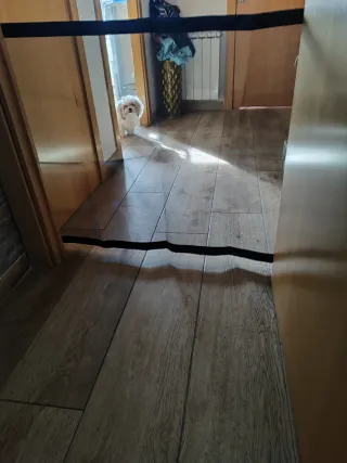 Nuova barriera di sicurezza per animali domestici