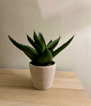 Adorno Abstracto Blanco y Planta Artificial