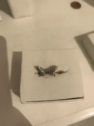Pendientes Mariposa Plata