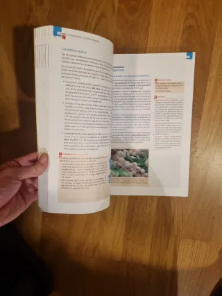 Libros educativos de mates, Física y geografia