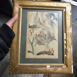 Antica stampa floreale inizio '900