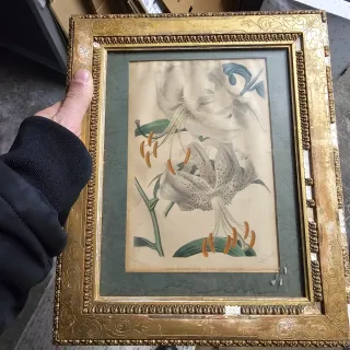 Antica stampa floreale inizio '900