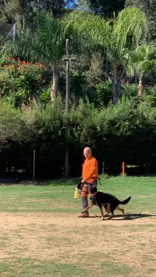 Adiestramiento Canino y paseo canino.