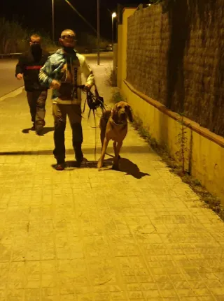 Adiestramiento Canino y paseo canino.