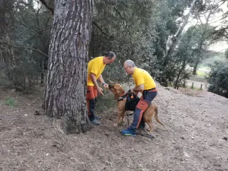 Adiestramiento Canino y paseo canino.
