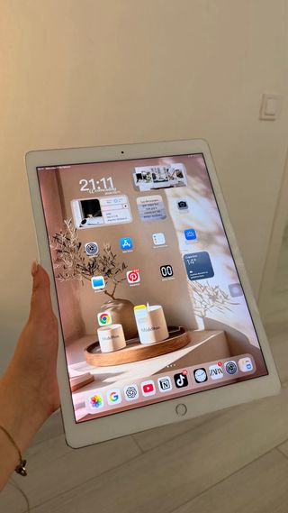 iPad Pro 12.9 2da Gen