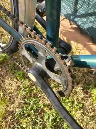 Bicicleta BH Vintage