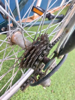 Bicicleta BH Vintage