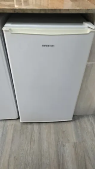 1 Congelador y 2 frigoríficos.