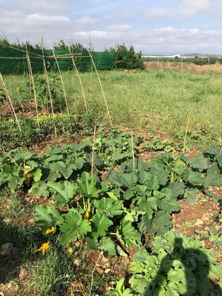 Terreno en Calahorra (El Molino)