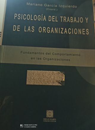 Psicologia del trabajo y de las organizaciones