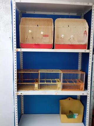 Jaula para pájaros beige y roja