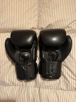 Guantes originales Boxeo Fairtex 14oz Negros