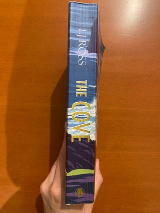 LJ Ross The Cove A Summer Suspense Mystery