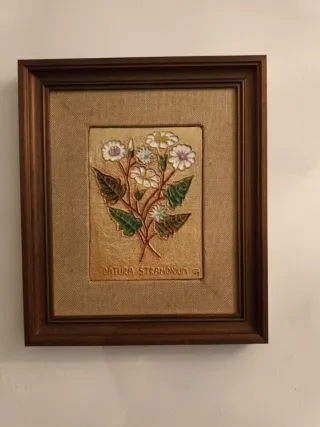 4 Cuadros de Plantas