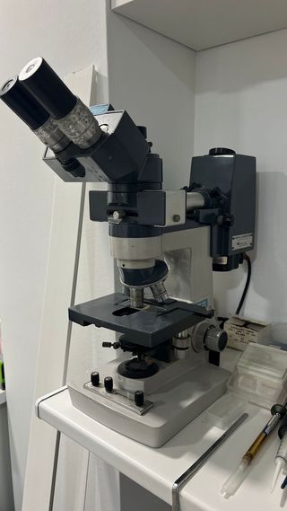 Microscopio Reichert Jung con Fluorescencia