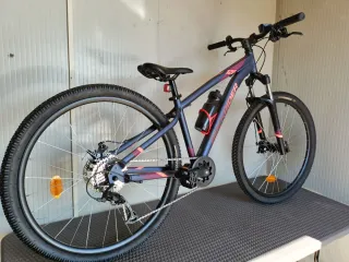 Vendo o cambio 2 Bicicleta de montaña plateada.