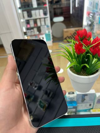 iPhone 13 Pro Max 512GB Argento Semi Nuovo