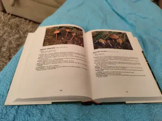 Libro Las Setas, Guia Fotográfica y Descriptiva