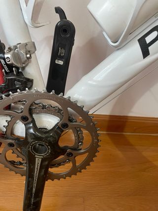 Bicicleta Pinarello Paris Carbono