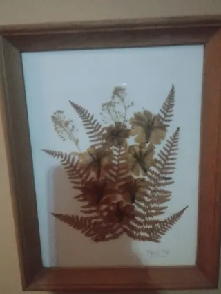 Cuadro plantas naturales secas