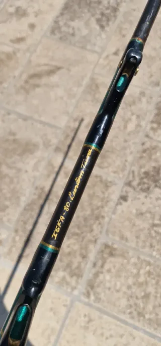 Canna da tonno 80 lb