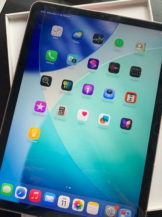 iPad Air 4ª Gen 256GB Wifi + Cellular Rosa