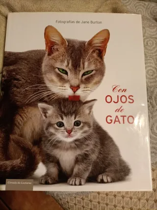 Con ojos de gato