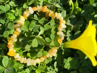 Pulsera de chips de ópalo amarillo