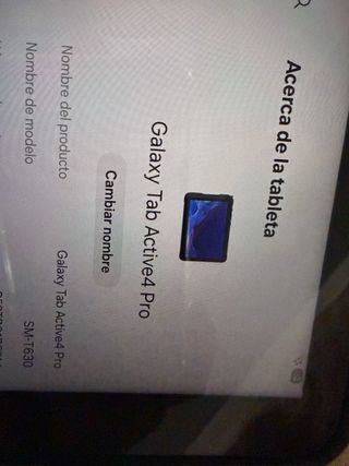 Samsung Galaxy Tab Active4 Pro Negro