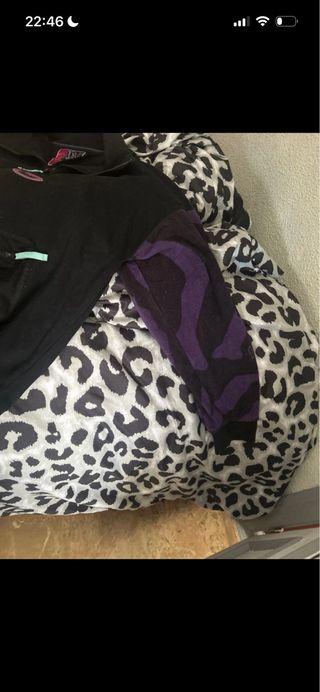 Polar GRMY Negro y Morado