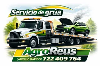 Servicio grúa