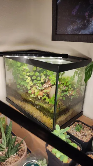 Luz LED para crecimiento de plantas