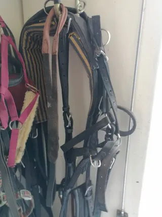 Caja para guardar arneses para caballos