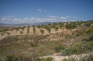 Terreno en venta en Alhendín