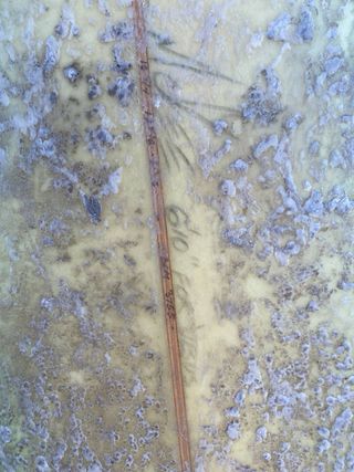 Tabla Surf Pukas 6'10''